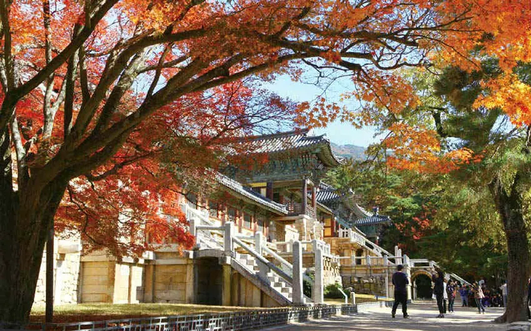 佛國寺楓葉-紅葉故事旅行