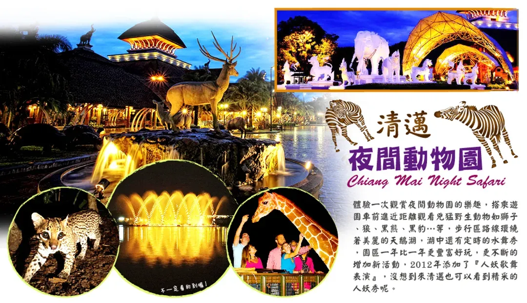 【清邁親子遊５日】夜間動物園、泰山叢林遊、友善大象營、大象便便紙公園、長榮航空[含稅]-5
