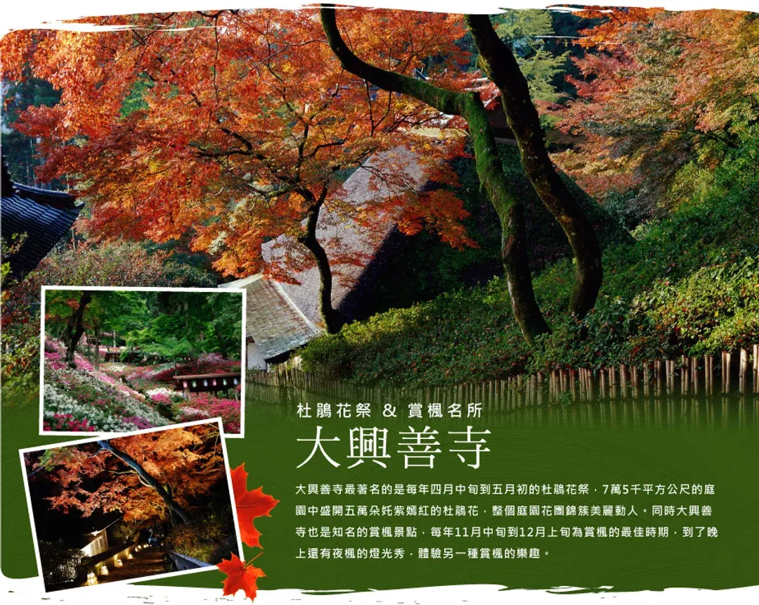 【楓迷九州雙鐵道5日】由布院之森、深耶馬溪、九重大橋、御船山樂園、佐賀之旅[含稅簽]-10