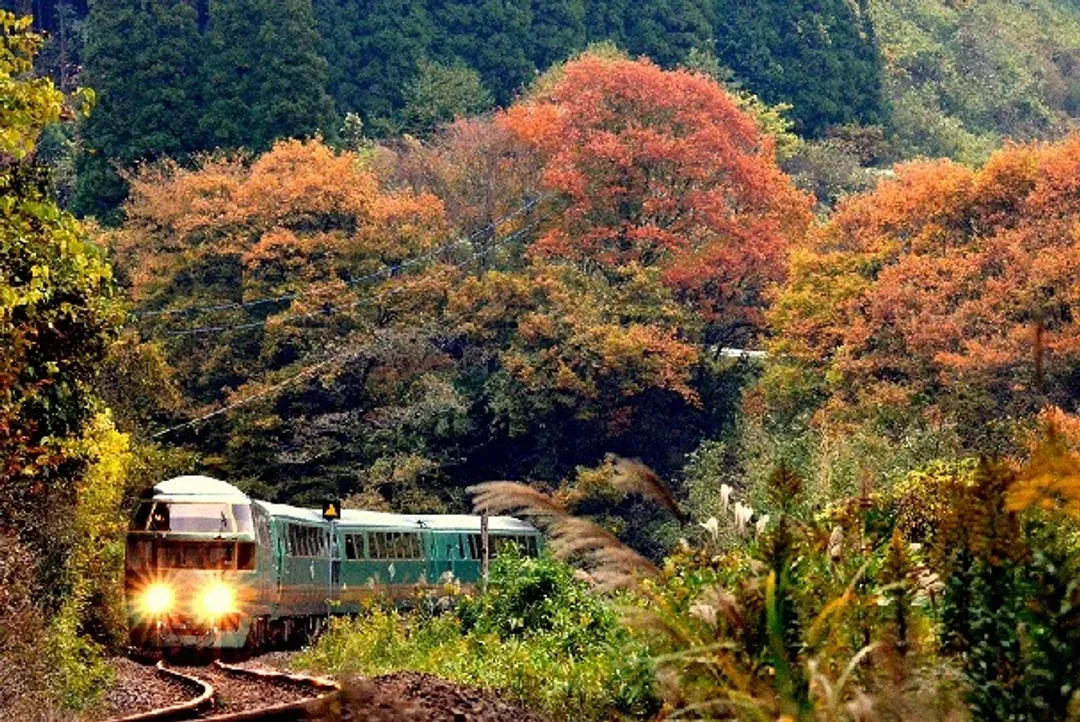 【楓迷九州雙鐵道5日】由布院之森、深耶馬溪、九重大橋、御船山樂園、佐賀之旅[含稅簽]