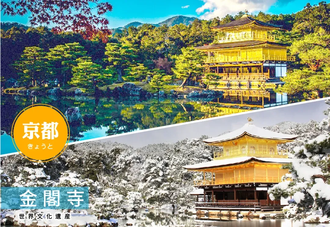 【8人成行】桃太郎關西四都5日.燒肉螃蟹吃到飽.伊勢龍蝦.和服體驗.姬路城.米其林金閣寺.清水寺.嵐山渡月橋.東大寺-6
