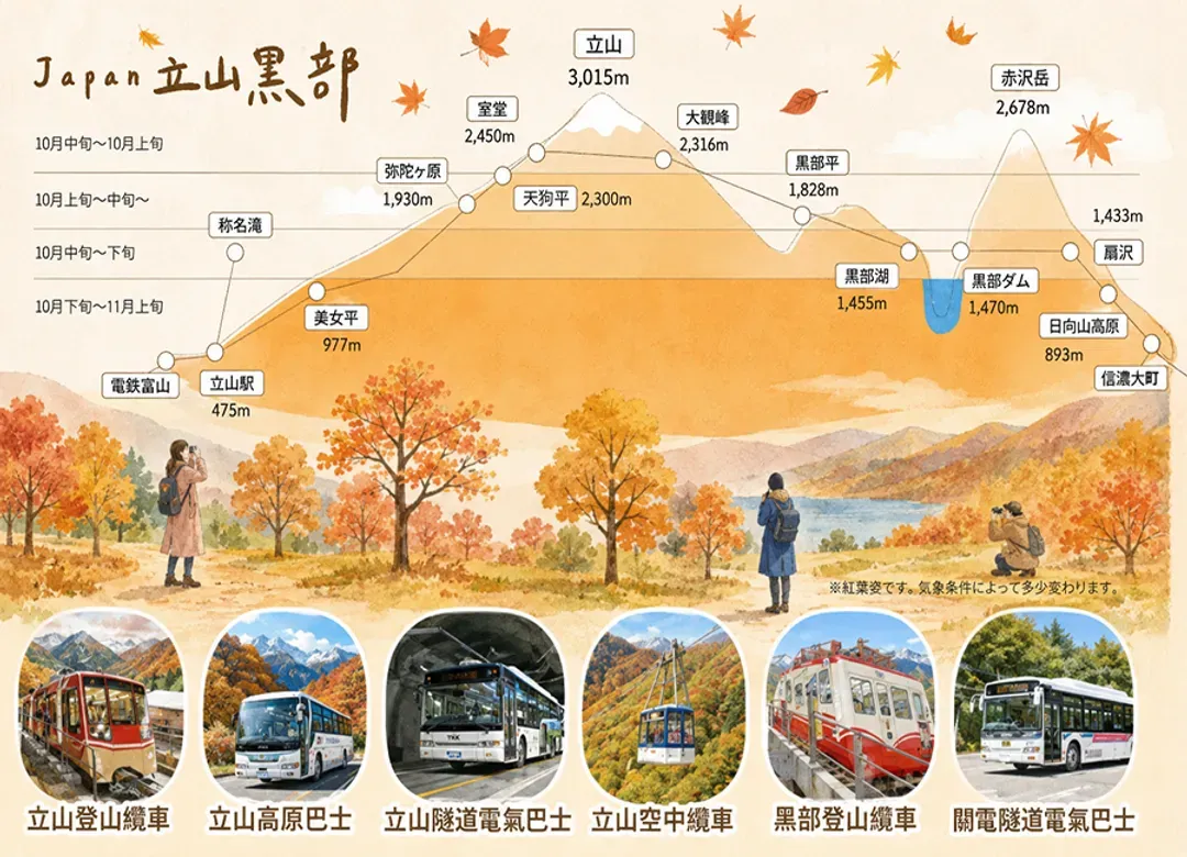 【特惠選】秋楓立山黑部6日.郡上八幡.秘境上高地.天龍峽.採果樂.白川鄉合掌村.兼六園.雙溫泉（中華航空）-6