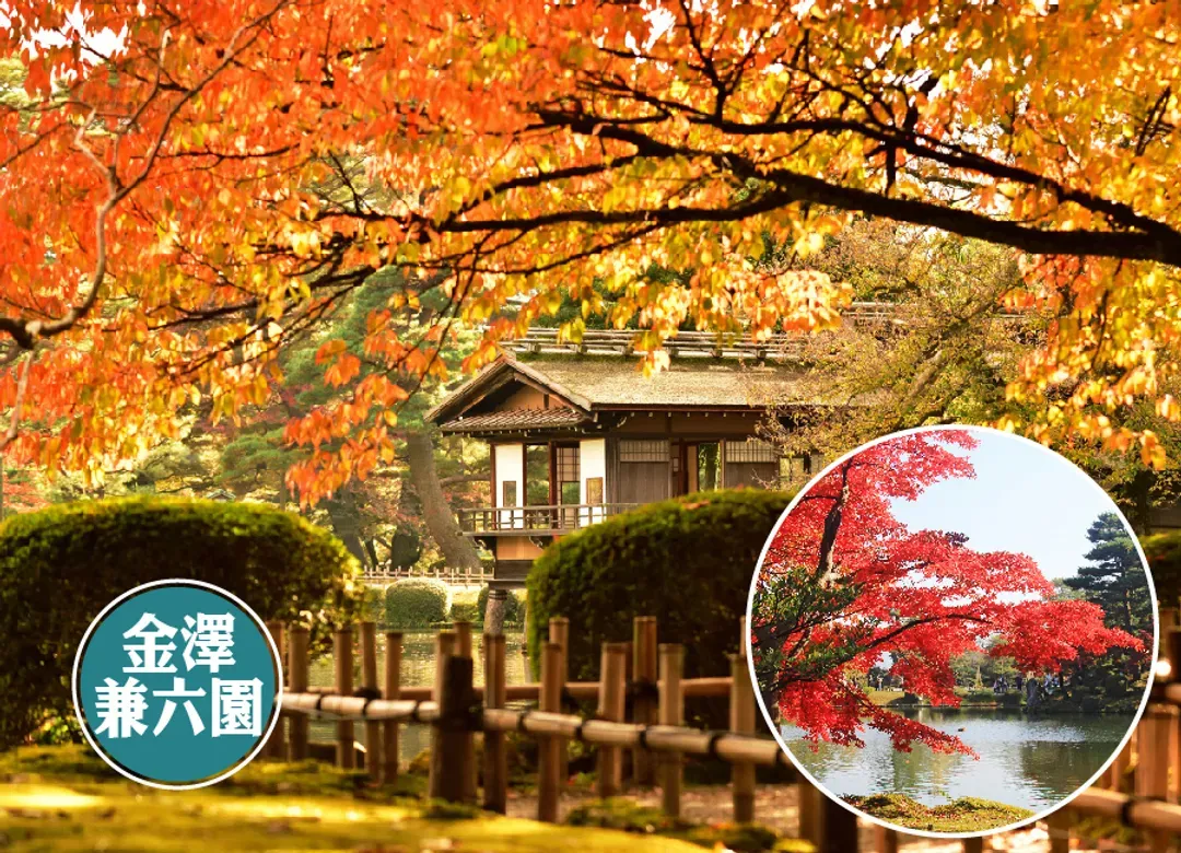 【特惠選】秋楓立山黑部6日.郡上八幡.秘境上高地.天龍峽.採果樂.白川鄉合掌村.兼六園.雙溫泉（中華航空）-8
