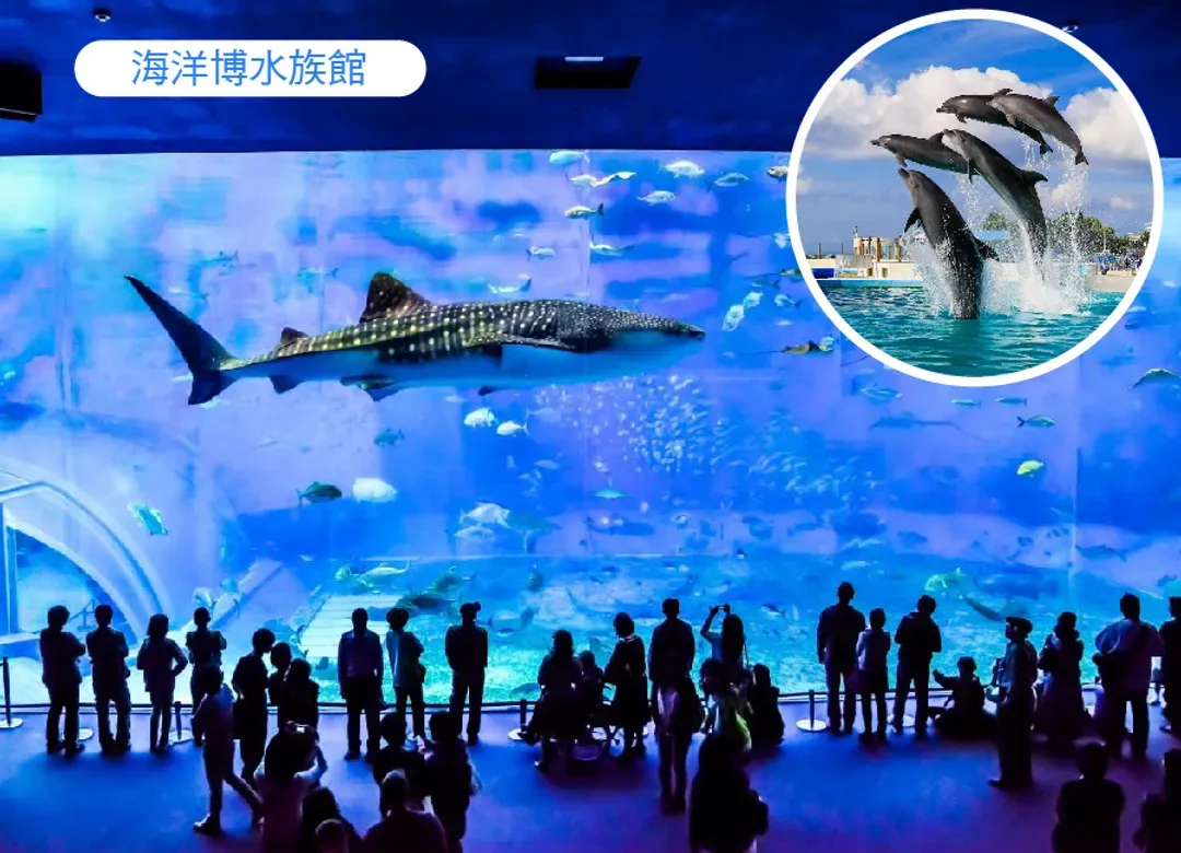 【限時限量】微醺沖繩4日.世界最美之海水族館.半潛水艇.玉泉洞.泡盛工廠見學.蒸氣海鮮.燒肉吃到飽