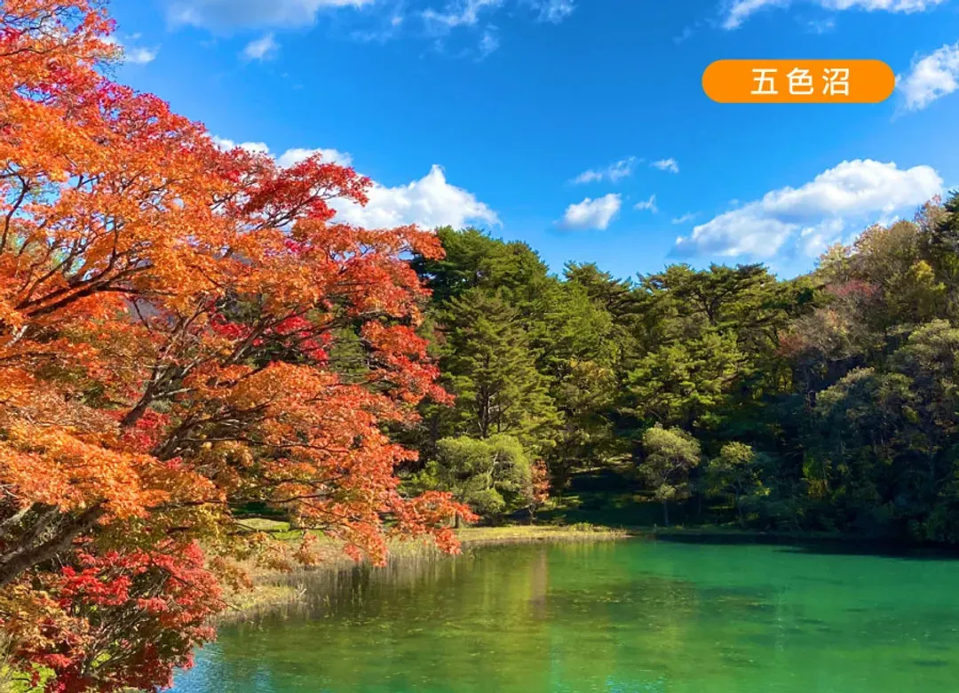 東北秋楓紅葉狩7日.奧入瀨溪.日立海濱公園.銀山溫泉.鳴子峽.五色沼.採蘋果.猊鼻溪遊船.十和田湖(入住四晚溫泉)-5