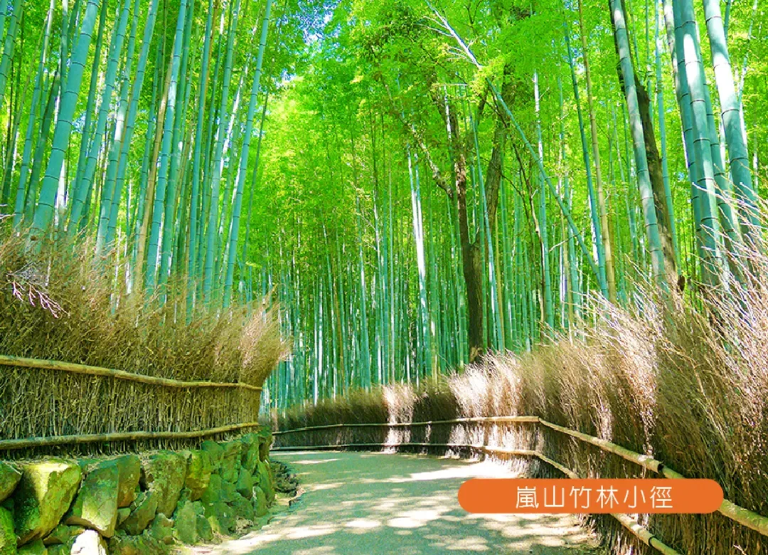 特惠選精彩四都關西5日.清水寺.嵐山竹林小徑.奈良小鹿.有馬溫泉.神戶港.心齋橋.螃蟹龍蝦和牛.臨空城outlet-5