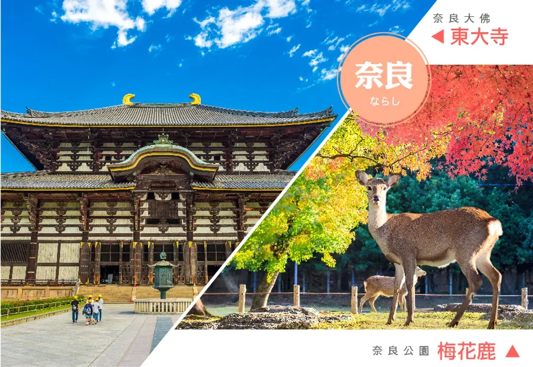特惠選精彩四都關西5日.清水寺.嵐山竹林小徑.奈良小鹿.有馬溫泉.神戶港.心齋橋.螃蟹龍蝦和牛.臨空城outlet-8