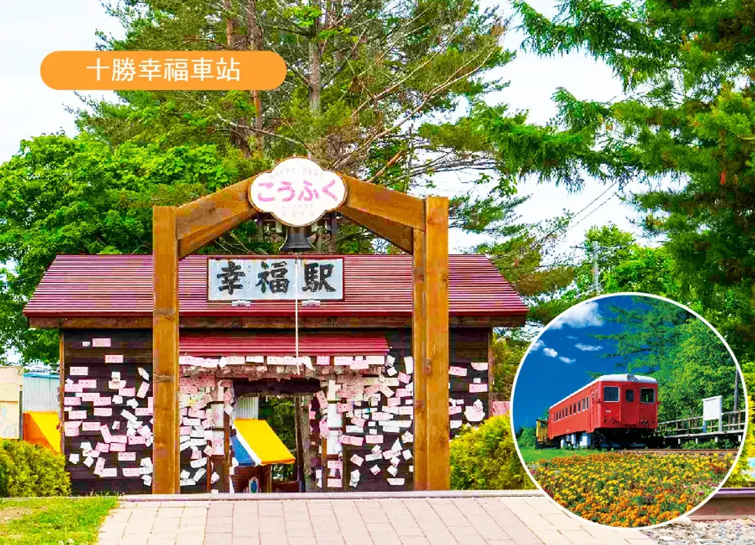 迷戀北海道全覽7日.黑岳空中纜車.釧路溼原.熊牧場.尼克斯企鵝.冰天使.螃蟹.敘敘苑燒肉美食(入住五溫泉)-10