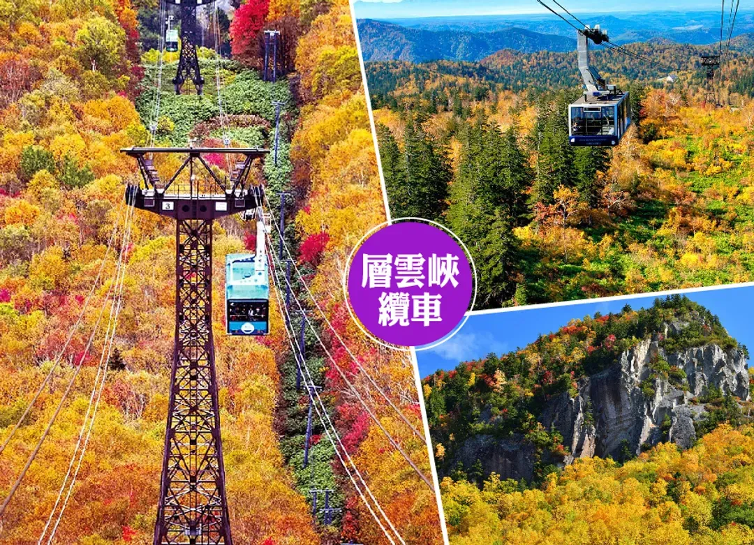 迷戀北海道全覽7日.黑岳空中纜車.釧路溼原.熊牧場.尼克斯企鵝.冰天使.螃蟹.敘敘苑燒肉美食(入住五溫泉)