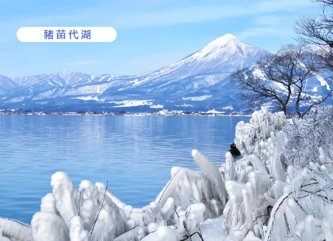 【高雄出發】東北樹冰6日.百選溫泉.銀山溫泉.戲雪.採草莓體驗.百年料亭.加贈三大蟹吃到飽.山形牛料理-7