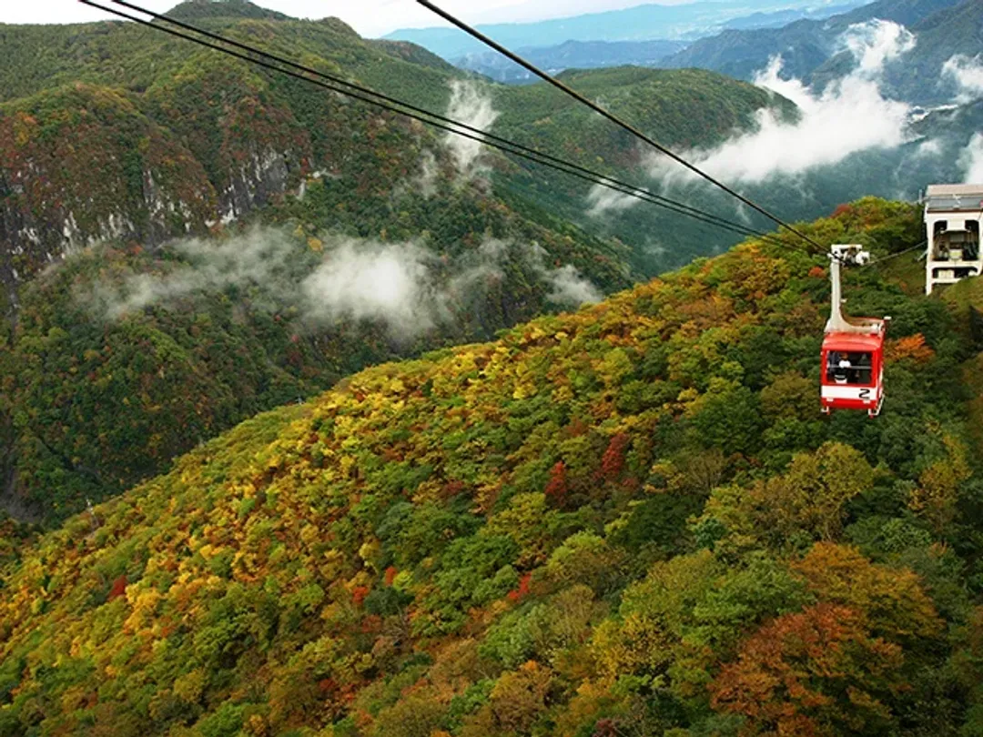 照片取自明智平空中纜車官網-奧日光紅葉賞