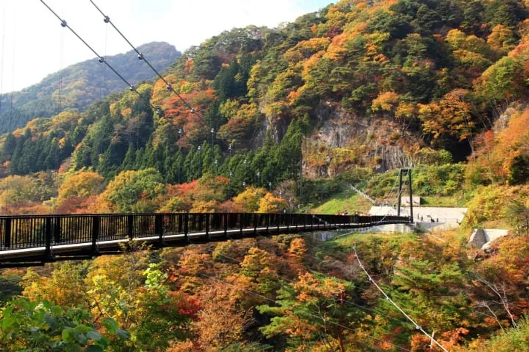 【天涼好個秋、報名送小費】紅葉奧日光、楓情東照宮、川越小江戶、兩晚溫泉鄉五日-9