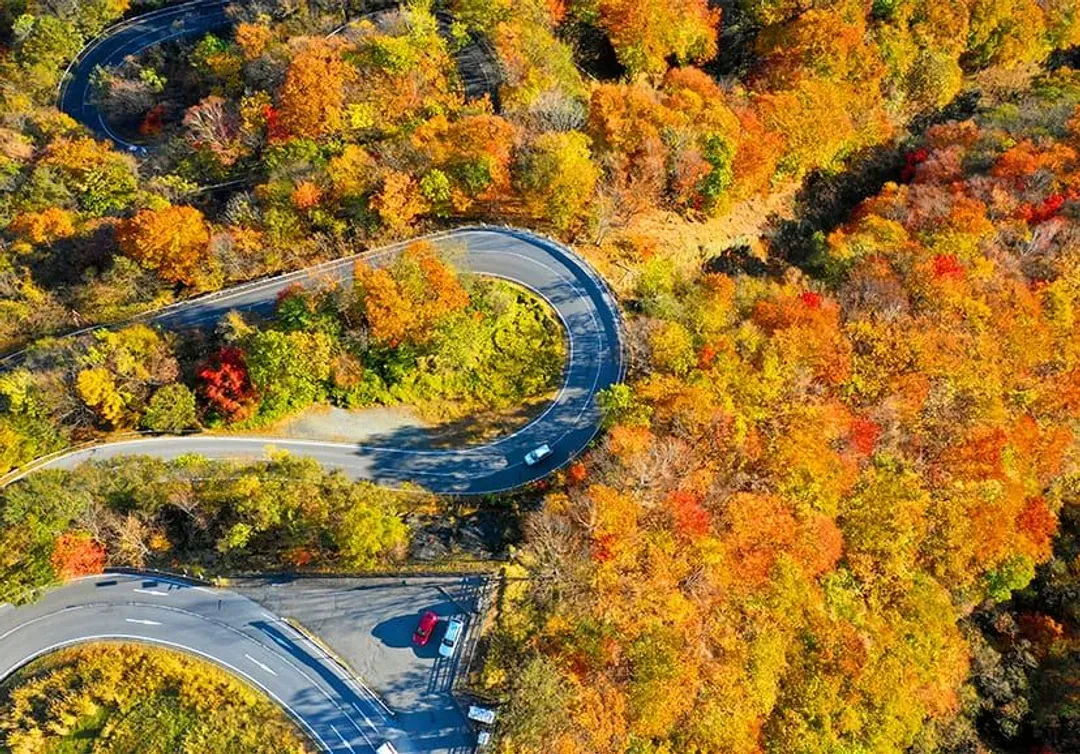 照片取自日光市觀光協會官網-奧日光紅葉賞