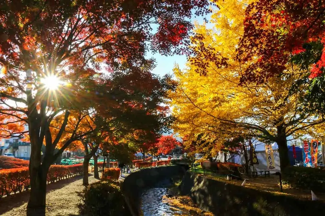 河口湖紅葉迴廊