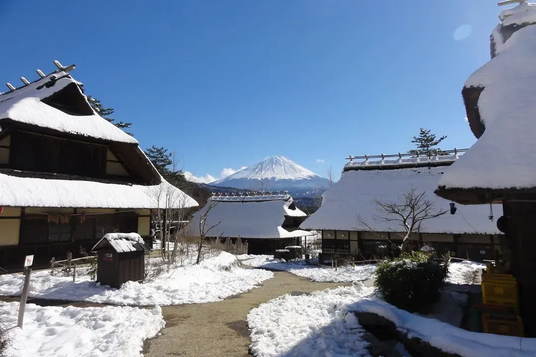 写真提供：西湖いやしの里根場-西湖合掌村
