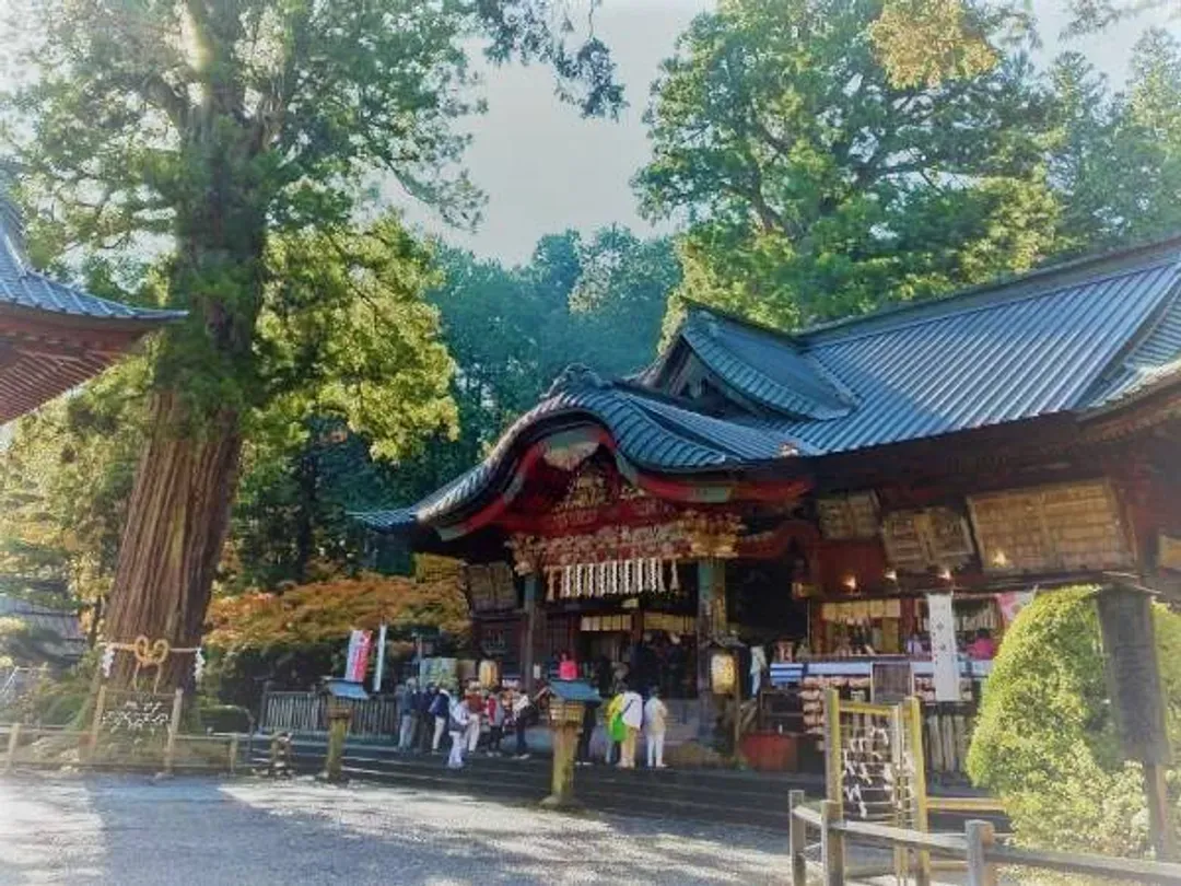 【東京慢旅、報名送小費】輕井澤度假區、河口湖遊覽船、伊豆溫泉名所、長腳蟹溫泉香八日-9