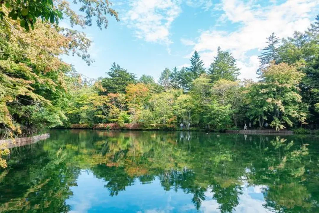 【東京慢旅、報名送小費】輕井澤度假區、河口湖遊覽船、伊豆溫泉名所、長腳蟹溫泉香八日-6