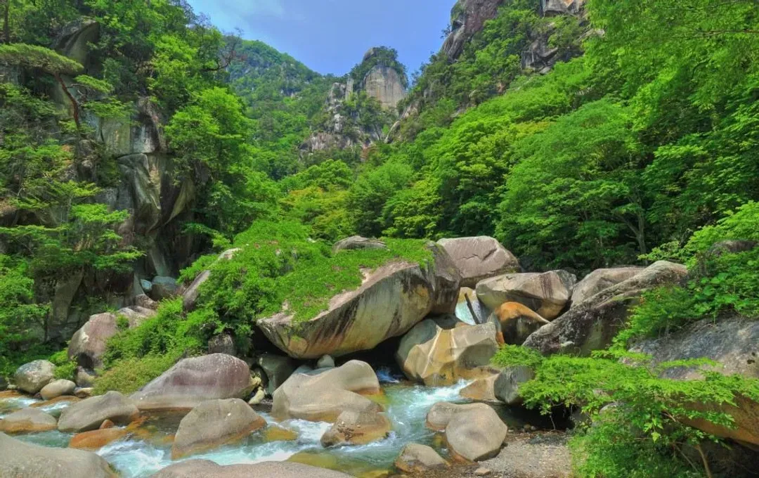 【東京慢旅、報名送小費】輕井澤度假區、河口湖遊覽船、伊豆溫泉名所、長腳蟹溫泉香八日-16