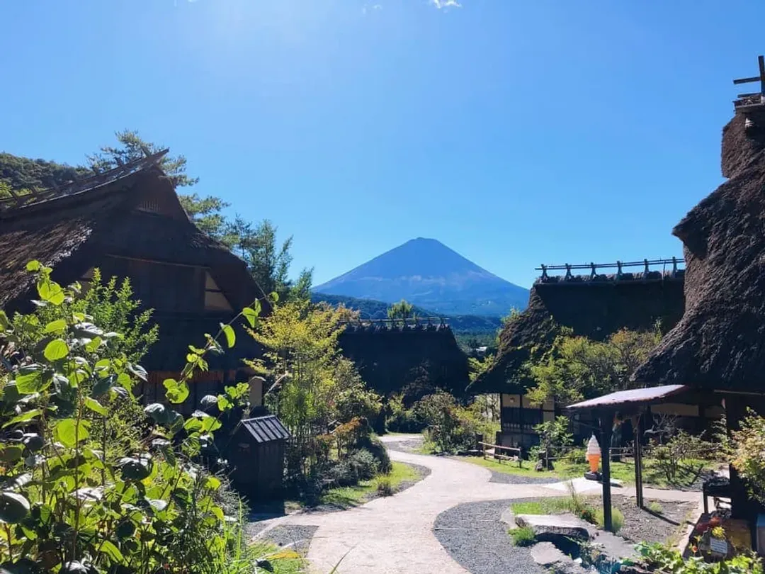 富士風情漫遊