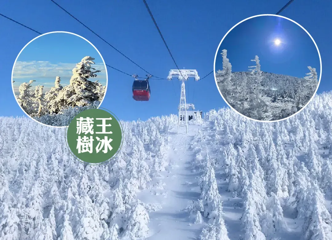 雪夢幻東北三溫泉5日.樹冰纜車.銀山溫泉.雪上活動.藏王狐狸村.狔鼻溪遊船.採草莓.螃蟹和牛（花卷進仙台出）