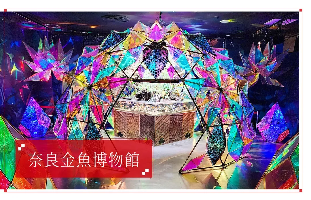 【暑假激省關西５日】日本環球影城『超級任天堂世界』、天橋立、伊根遊船、奈良小鹿、達摩勝尾寺、壽司吃到飽[含稅]