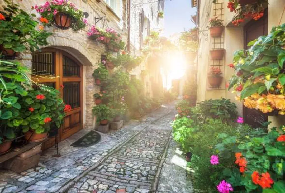 斯佩洛,Spello,花毯節,義大利旅遊