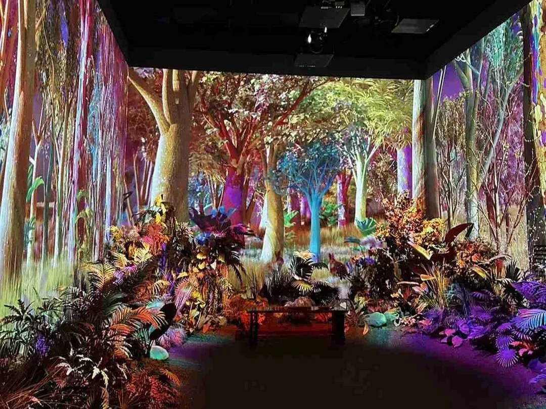 Le Space光影展(韓版TeamLab)