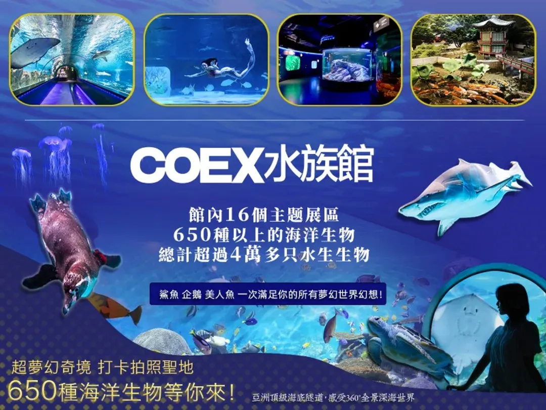COEX水族館+星空圖書館