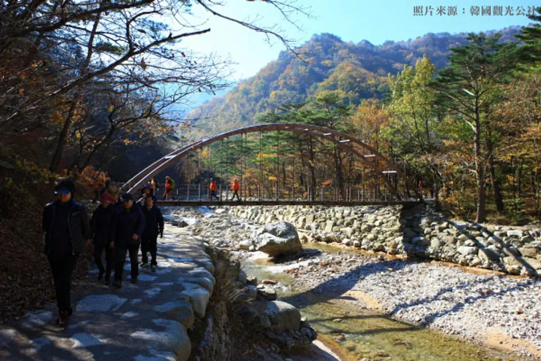 雪嶽山-雪嶽山國立公園(賞楓+新興寺)