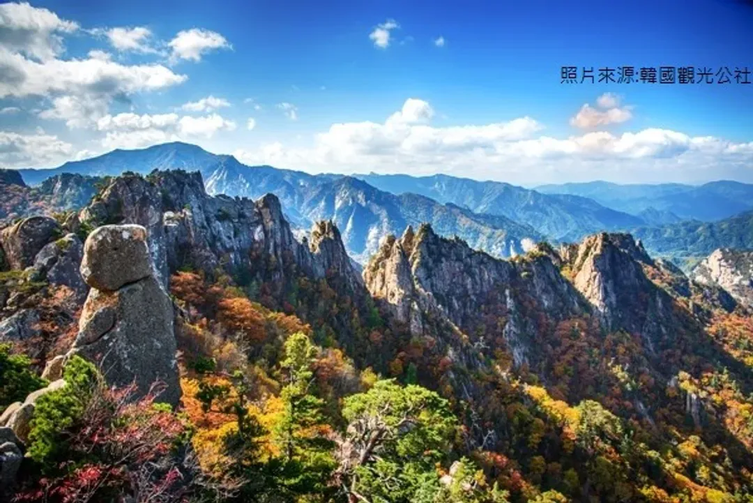 首爾感恩回饋季～楓花雪嶽、水族館天空公園、新產業觀光、東海岸浪漫列車五日