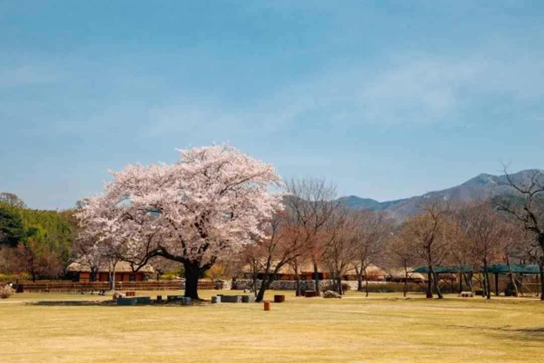 瑞山海美邑城(訪韓安心景點125選)