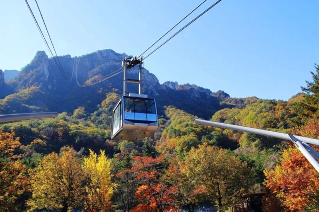 雪嶽山國立公園+新興寺(纜車來回)