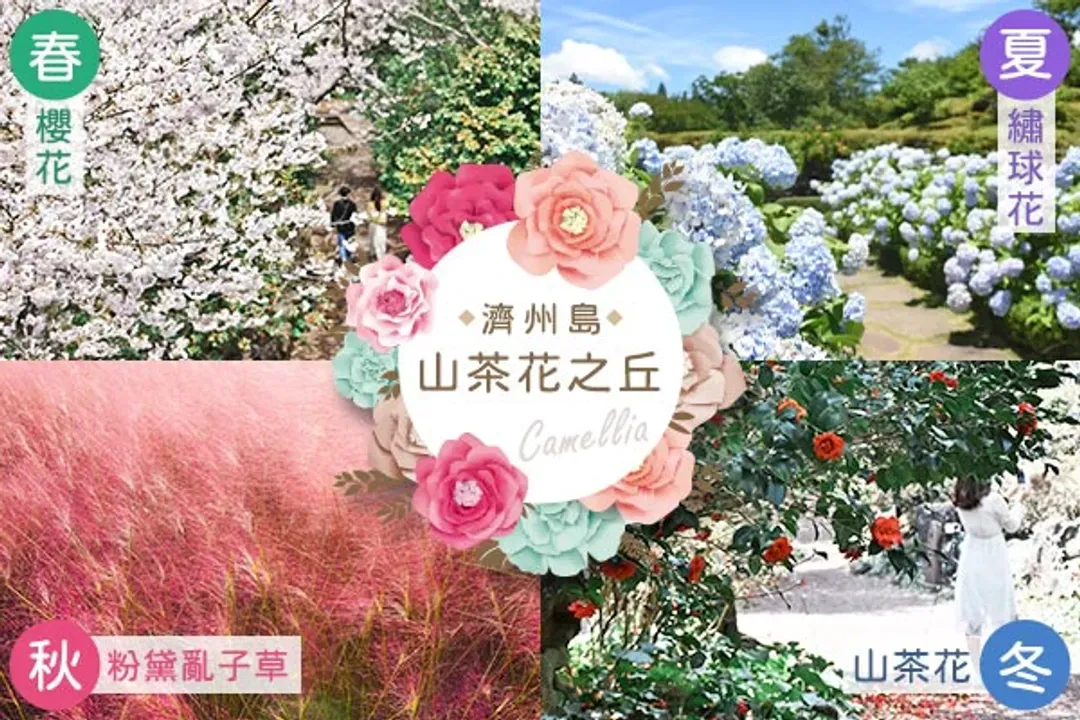 【惠選出遊趣，每人減6000】百萬網紅遊濟州～神話世界樂園、史努比泰迪熊、世界級水族館、全程五星萬豪五日-12