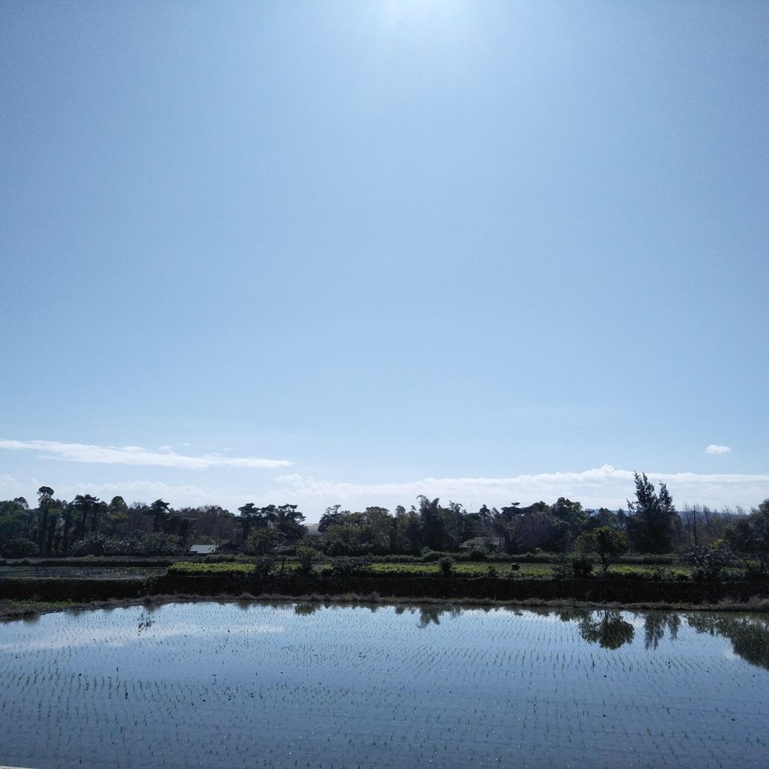 Lotus Guest House