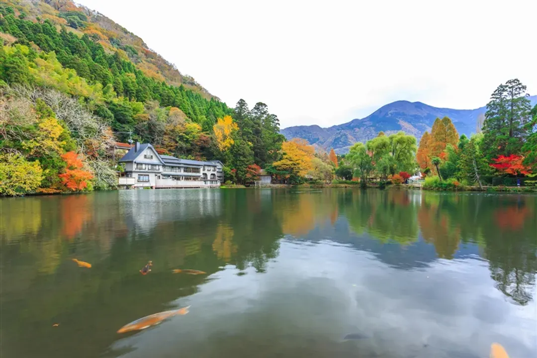 九州旅遊|九重夢大吊橋.別府溫泉.阿蘇草千里.童話湯布院.金鱗湖.鳥栖OUTLET五日|台中出發-9