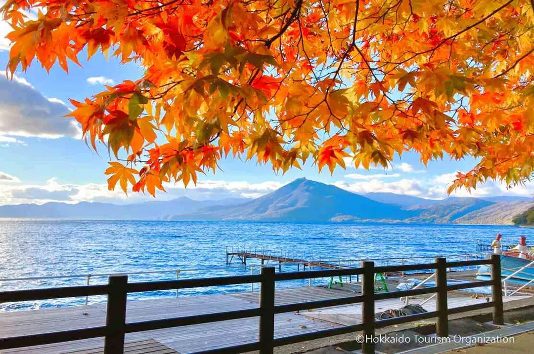 秋享北海道～小樽函館山、紅葉豐平峽、和牛燒啤無限、森之庭渡假村五日