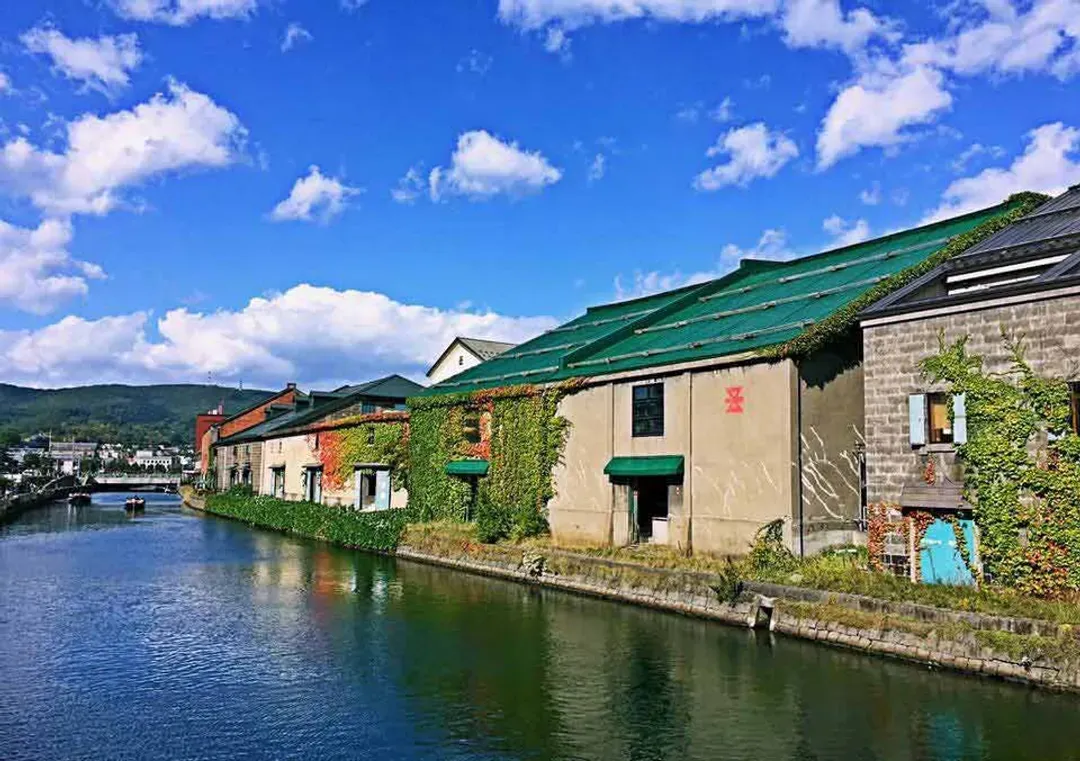 北海道雪星情~小樽函館山、尼克斯雪樂園、洞爺湖彩燈節、和牛螃蟹雙溫泉六日-7