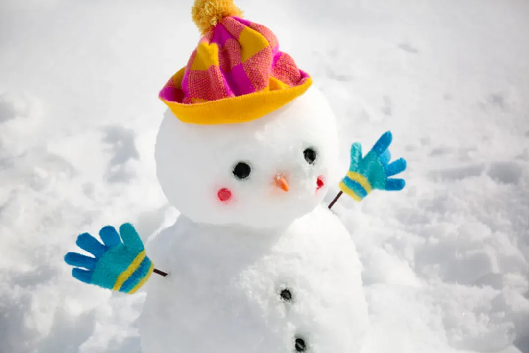 雪上活動五合一