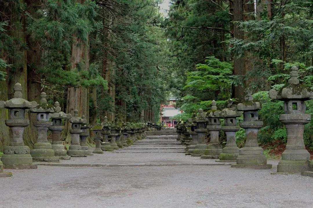写真提供：やまなし観光推進機構-富士風情漫遊