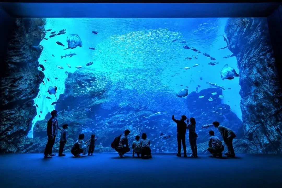 仙台水族館-藏王狐狸村