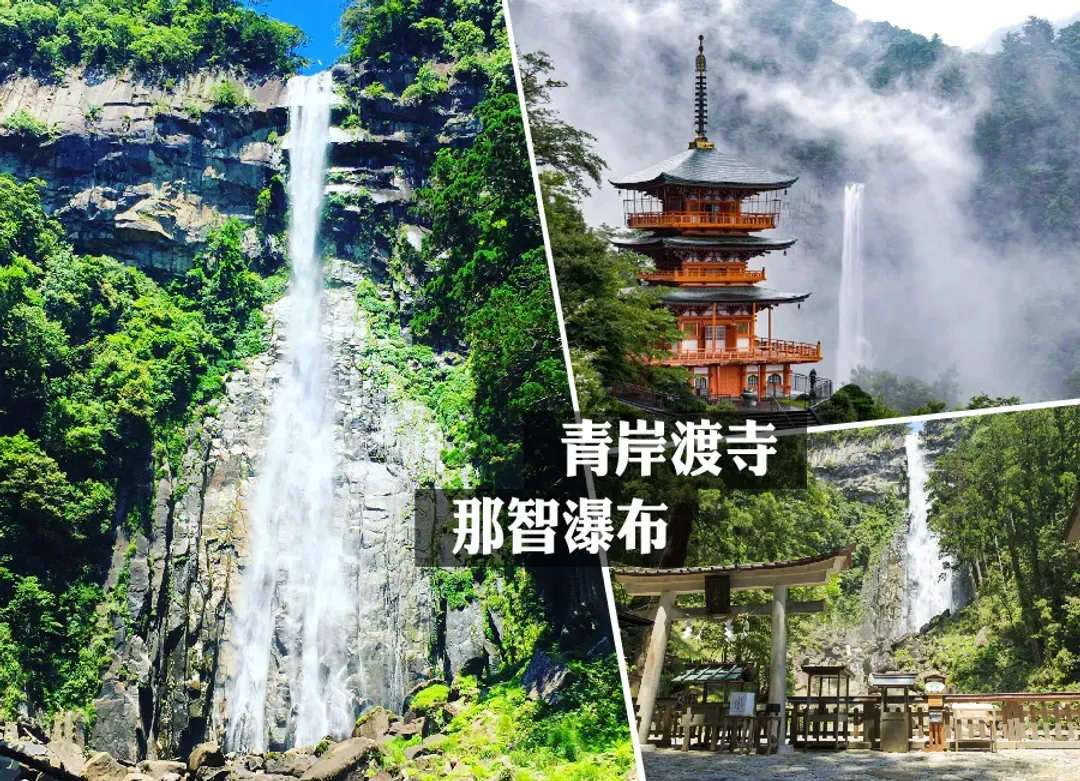 【長榮】泰饗趣南紀三溫泉6日饅頭屋.螃蟹美食.採果樂.貓咪列車.三段壁.伊勢神宮.平等院.和牛龍蝦-6