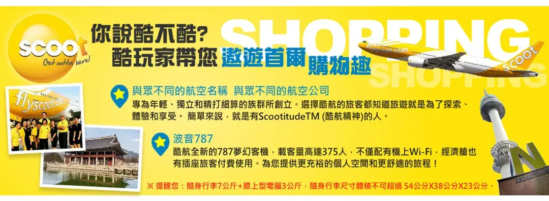 【不進人蔘保肝．聰明玩首爾５日】廣藏市場、益善洞、愛寶樂園、明洞、東大門、南怡島[含稅]-12