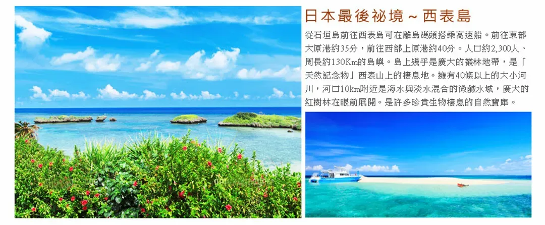 【高雄出發．石垣輕旅行４日】八重山文化村、水牛車跳島、紅樹林遊船、一日自由活動[含稅簽]-6