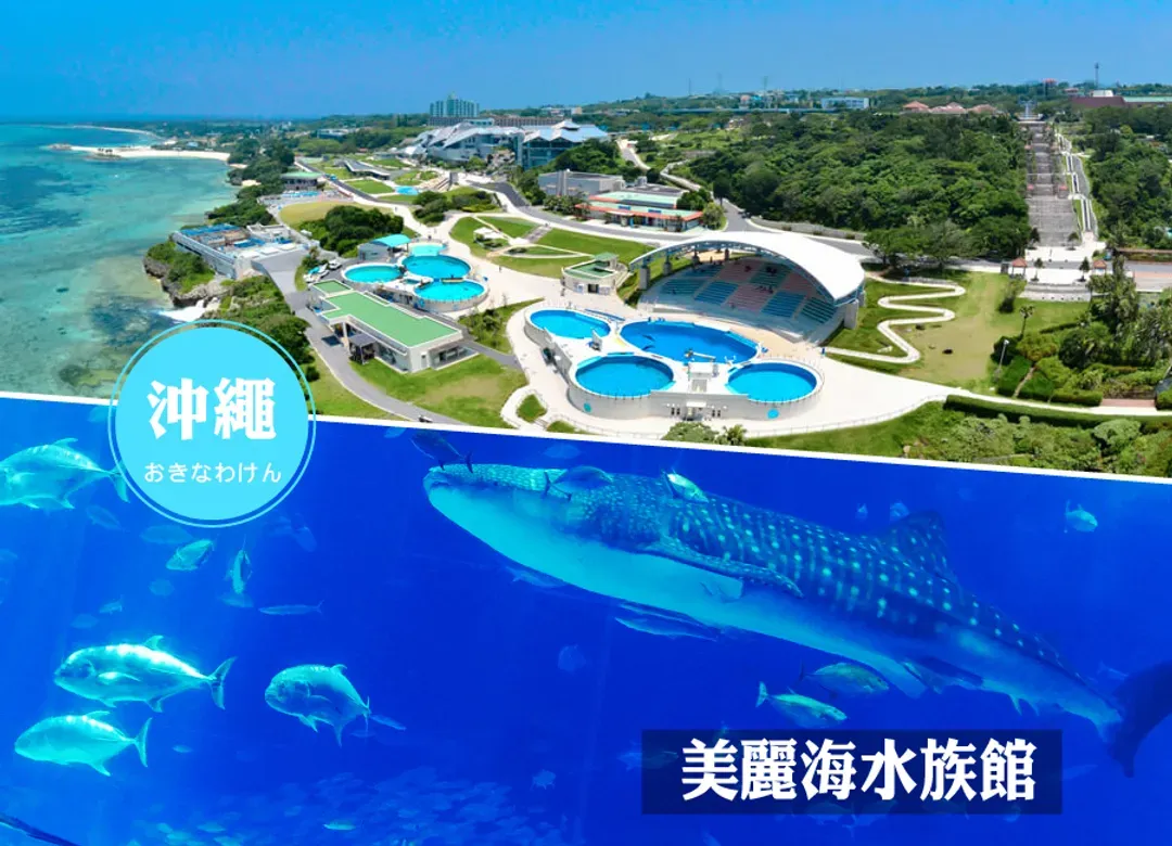 台中華航沖繩遊4日.世界最美之海水族館.星野下午茶.波之上神宮‧購物趣