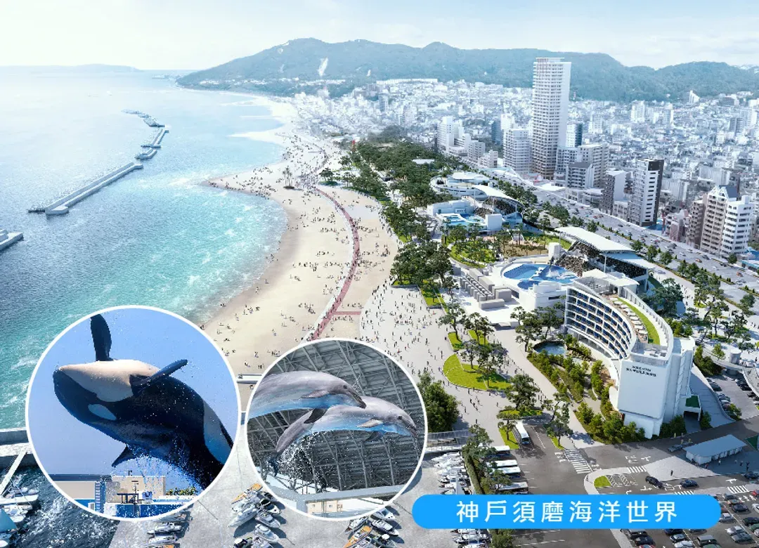 繽紛星體驗關西四都5日.全新開幕神戶須磨海洋世界.嵐山叮叮車.米其林清水寺.奈良小鹿.和牛龍蝦燒肉(星宇)