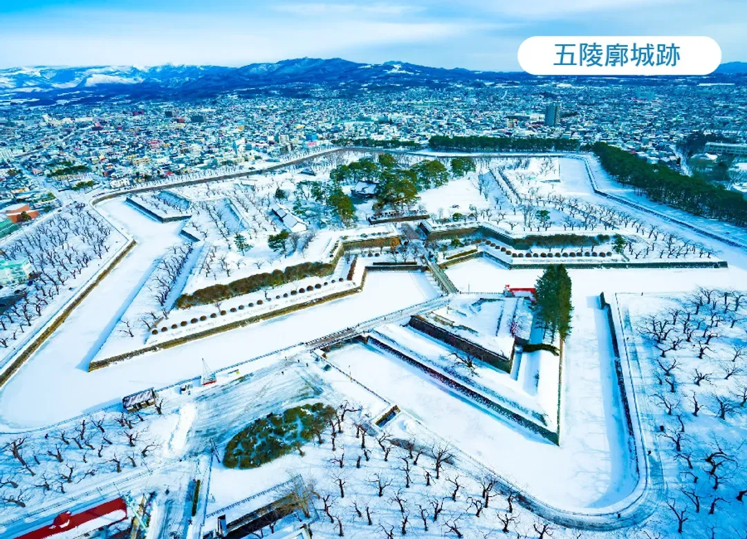 雪戀北海道5日.函館夜景纜車.爆萌企鵝.玩雪三合一.浪漫小樽運河.洋菓子下午茶.洞爺湖.札幌白雪彩燈.三大螃蟹吃到飽