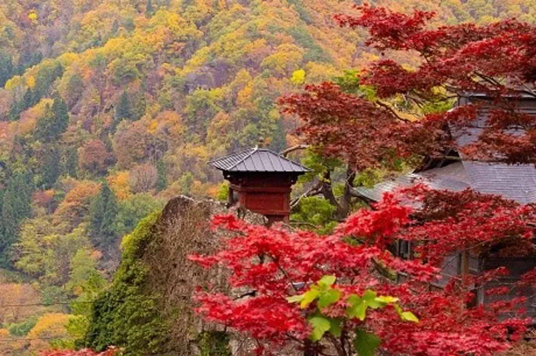 限量.東北旅遊|仙台.青森雙點進出.奧入瀨溪流散策.銀山溫泉街.藏王御釜.立石山寺.松島遊船.和牛吃到飽.螃蟹溫泉六日-10