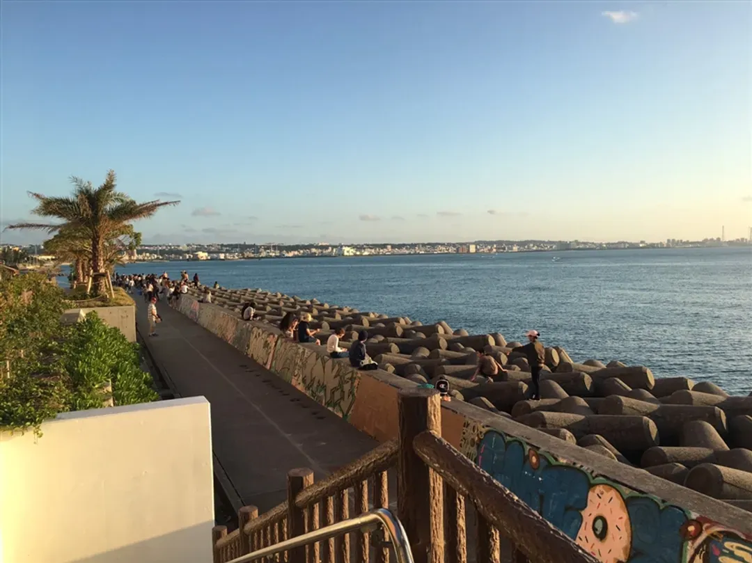 沖繩旅遊｜養生長壽之島．品嚐健康食材．系滿魚市．王國文化．泡盛酒廠．海豚秀．獨家溫泉活動～南城猿之湯四日｜台中出發-7