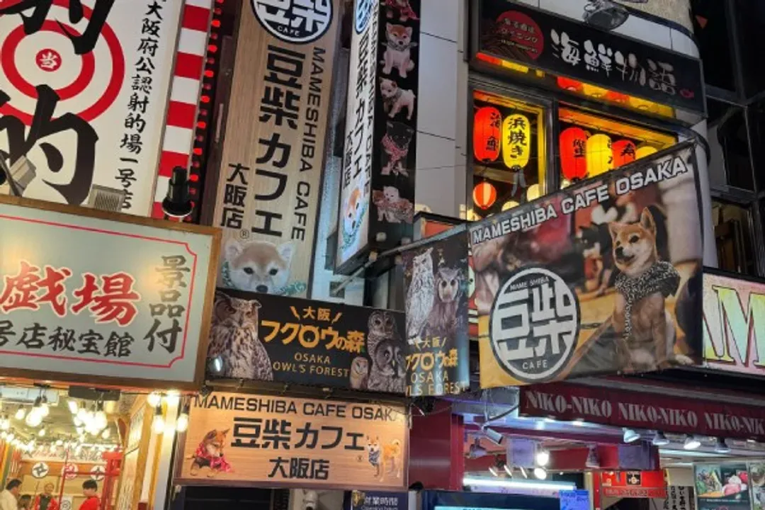 ​​​​​​​心齋橋