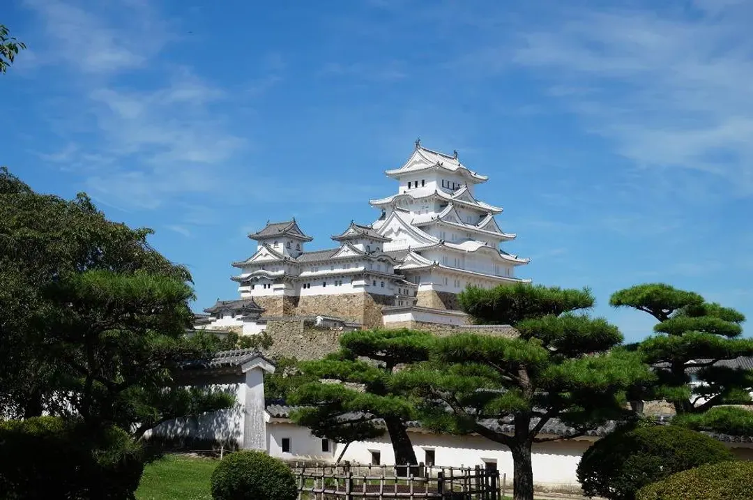 連休關西秘境～天空竹田城跡、美山合掌村、伊根灣遊覽船、姬路美饌溫泉五日-5